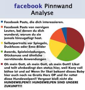 facebook-pinwand-Analyse